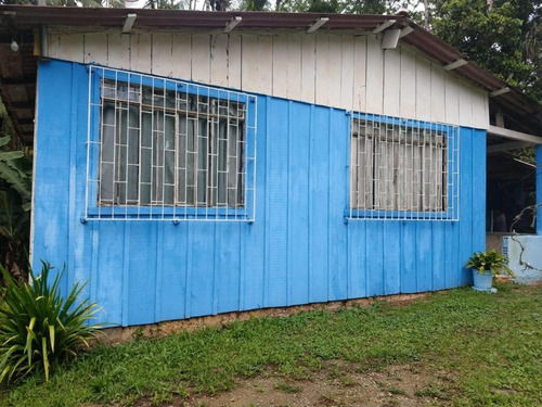 Chácara Com 2 Dormitórios À Venda, 8000 M² Por R$ 85.000,00 - Rio Sagrado - Morretes/pr - Ch0118