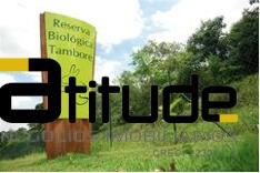 Imagem 3 de 13 de Prédio Comercial Para Locação Tamboré - 3326