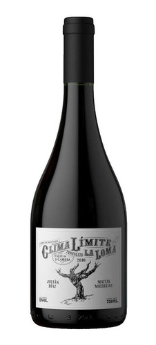 Vino De Montaña Clima Limite Pinot Noir De Matias Michelini