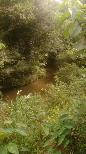 Chácara Carvalhos , Perto Bairro Franceses , Lugar De Muitas Cachoeiras - 456