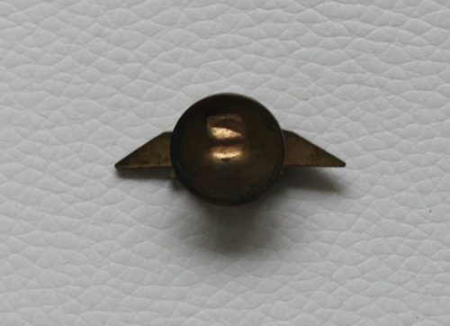 Pin Fuerza Aérea Argentina - Antiguo (Usado)