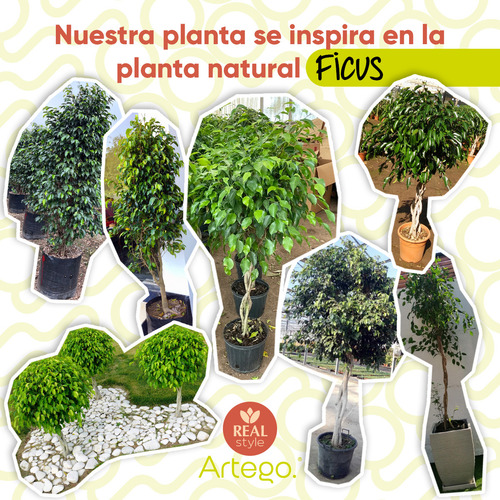 Planta Artificial Moderna Con Maceta Decorativa Real Style Ficus Grande De 170cm De Alto Artego Para Hogar Sala Comercio Oficina
