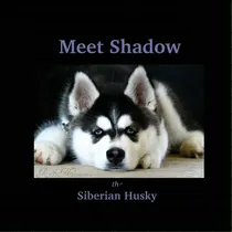 Comprar Meet Shadow The Siberian Husky: Meet Shadow, De Macniven, Rebecca. Editorial Createspace, Tapa Blanda En Inglés