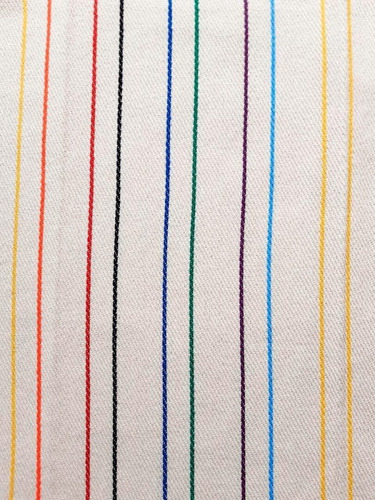 Imagen 4 de 4 de Sarape Crudo Raya Color