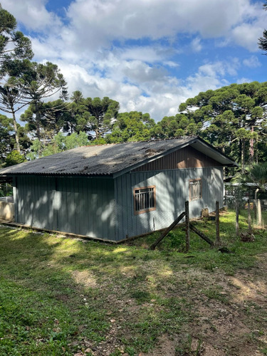 Paraíso À Venda Sítio Com Nascentes, Córrego E Natureza Intocada Em Bocaiuva Do Sul - Pr - 4 Hec