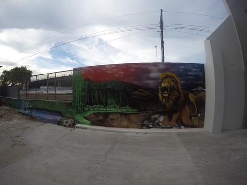 Arte Murales Graffiti Letrista Logos Realismo 3d Perpectiva