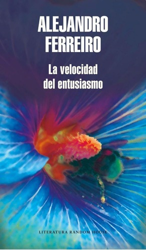 La Velocidad Del Entusiasmo - Alejandro Ferreiro, De Alejandro Ferreiro. Editorial Literatura Random House En Español