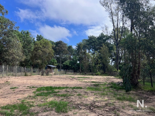 Terreno Nivelado En Barra Verde En Venta