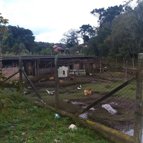 Imagem 6 de 30 de Chácara Com 3 Dorms, Água Espraiada (caucaia Do Alto), Cotia - R$ 720 Mil, Cod: 4258 - V4258