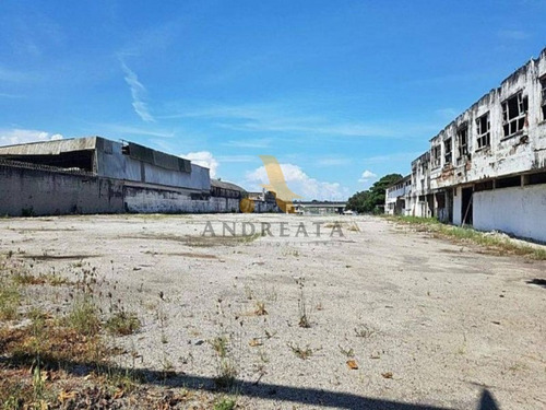 Imagem 1 de 2 de Terreno Com 9.080 M² - Aluguel No Mercado São Sebastião, Fácil Acesso As Principais Rodovias - Loc5011l - 69518928