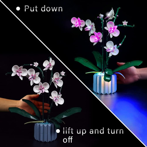 Compatible Con Íconos De Lego Flores De Orquídeas 10311, Kit