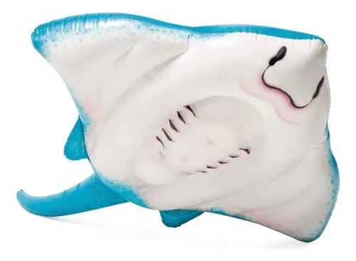 Inflable De Montar Raya Intex