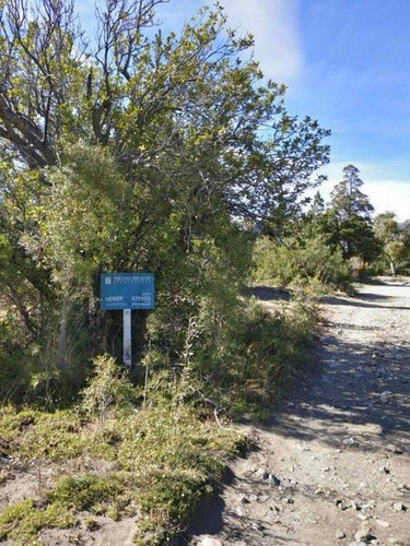 Imagen 4 de 10 de Venta Lote 2500 M2 En Peninsula - Meliquina Fraccion Iv