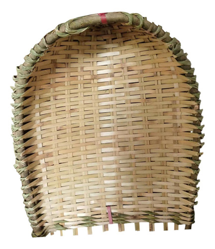 Bambúa De Bambú El Polvo De Basura De La Basura Sin Mango