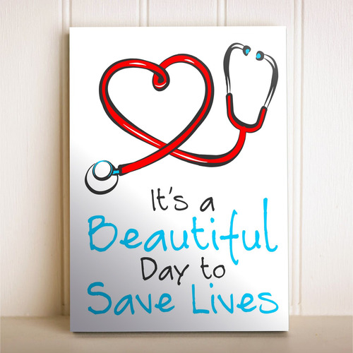 Placa Decorativa Seriado Grey's Anatomy A Day To Save Lives