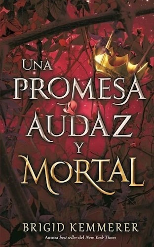 Libro Una Promesa Audaz Y Mortal De Brigid Kemmerer