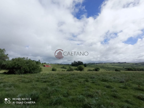 Imagen 5 de 25 de Venta De Campo, Maldonado.campo De 41 Hectáreas, Próximo A Pueblo Edén - Pueblo Eden