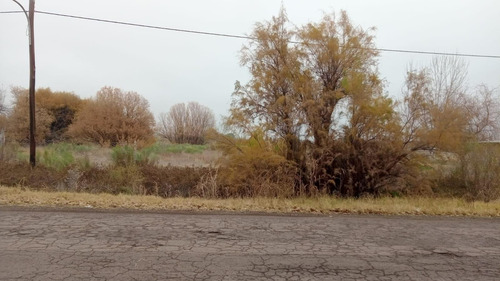 Lote De Terreno En General Alvear Mendoza