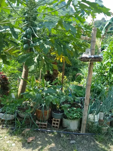Venta Finca La Mesa-via San Javier (af-4857).