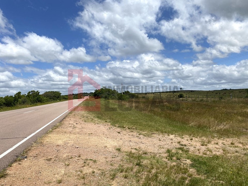 Campo Sobre Ruta 39 Con Lindo Casco Reciclado Y Arroyo, Cerca De Aigua