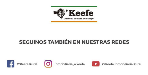 Imagen 15 de 15 de Punta Indio 100 Has Campo En Venta - Ideal Feed Lot - Oportunidad