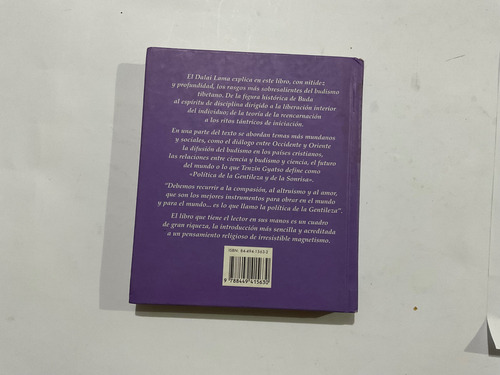 Dalai Lama: Visión Interior - Budismo Tibetano (Usado)