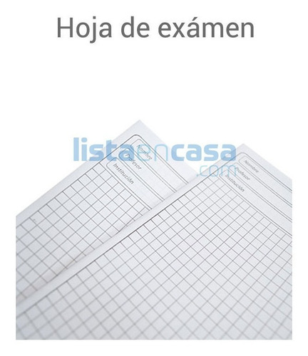 Hoja De Examen Cuadriculada X 100