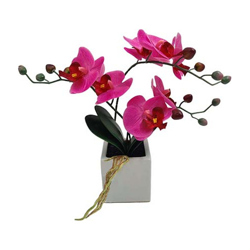 Orquidea Artificial Maceta Cuadrada - Desillas Color Fucsia