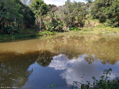 Imagem 3 de 15 de Chácara Para Venda Em Pedra Bela, Bairro Dos Lima - 1950_2-1183095