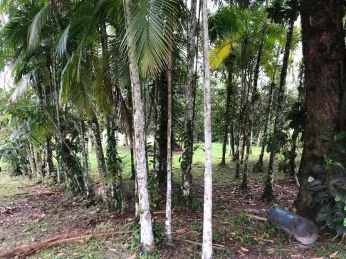 Imagem 12 de 14 de Chácara No Bairro Bopiranga, Em Itanhaém, 3 Quartos, 5773 Wa