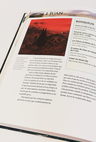 Imagen 3 de 5 de Manual Esencial De La Biblia. Un Recorrido Libro Por Libro.