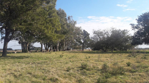 Unico Campo En Venta Con Excelente Costa A Río