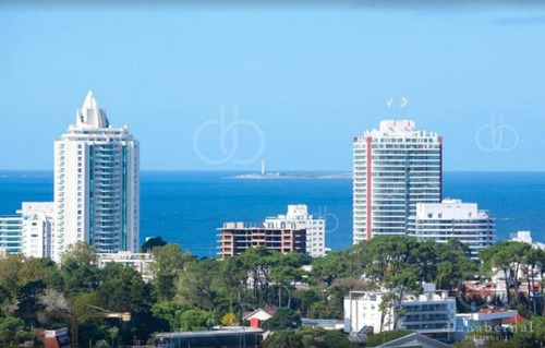 Imagen 5 de 21 de Apartamento En Roosevelt, 1 Dormitorio Con Terraza En Yoo Punta Del Este