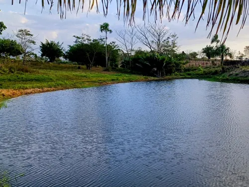Lote Campestre Cerca De Monteria Cordoba