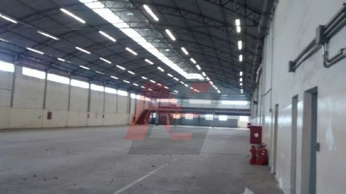 Imagem 12 de 14 de 06096 - Galpao, Pirituba - São Paulo/sp - 6096