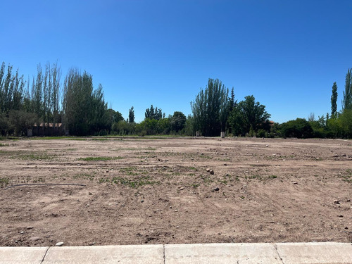 Terreno En Venta En Distrito Larrea