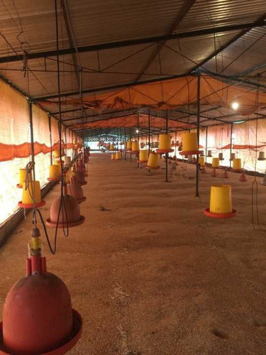 Imagen 13 de 22 de Finca En Tinaquillo Con 132 Hectáreas, Excelente Oportunidad
