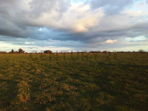 Imagen 7 de 15 de Espectacular Campo De 33 Hectáreas En Venta Con Casco Y Dos Galpones, Rp6