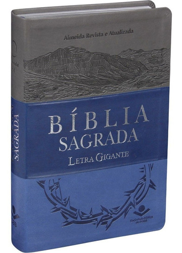 Bíblia Sagrada Masculina Letra Gigante Couro Azul E Cinza