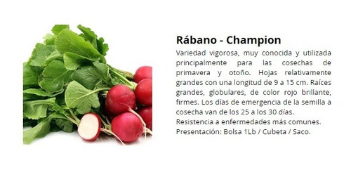 3 Lbs Semilla De Rábano Bola Champion