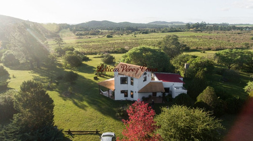 Imagen 7 de 22 de Venta Chacra En San Carlos 2 Has , Abra De Perdomo, Los Ceibos