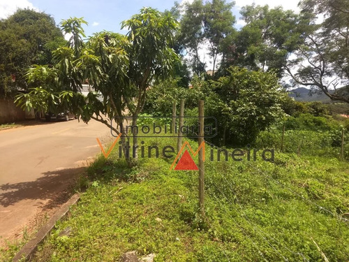 Imagem 8 de 8 de Lote / Terreno Em Pio Xii - Itatiaiuçu - 13620
