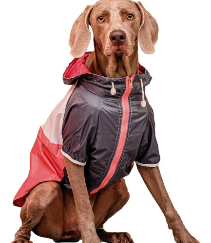 Piloto Para Perro Forrado Golden- Ovejero- Grande T 7- New