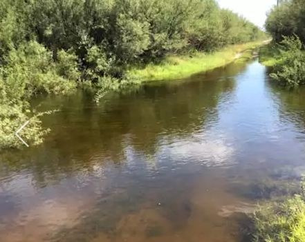 Imagen 3 de 7 de Campo Ganadero En La Paz A 27 Km De Desaguadero ( Ruta 7)