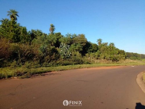 Tf731 - Terreno En Venta Z/ Candelaria