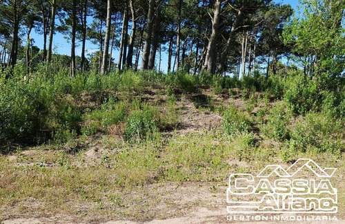 Imagen 13 de 14 de Lote En Pinamar. Venta.