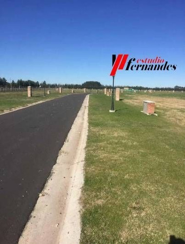 Imagen 3 de 6 de Terreno En Venta En Ezeiza