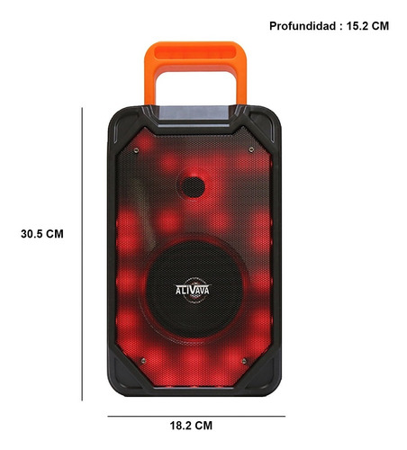 Bocina Portatil Bt Fm Luces Flama Recargable Usb 4 Pulgadas