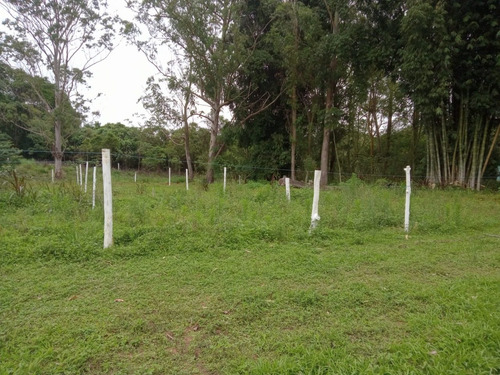 Imagem 4 de 6 de A.a01 Lindo Lote Á Venda