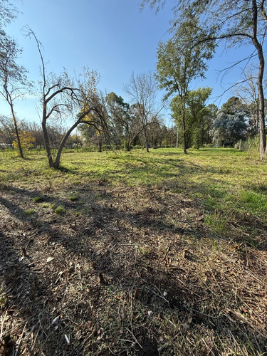 Venta - Lote - Barrio Los Pinos - Exaltación De La Cruz